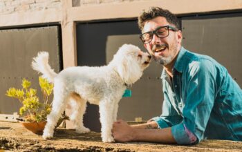 The F1B Bernedoodle: A Comprehensive Guide