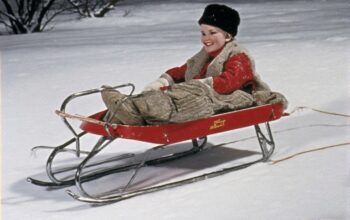 The Ultimate Guide to the Flexible Flyer Sled Model No 251H: A Timeless Winter Classic