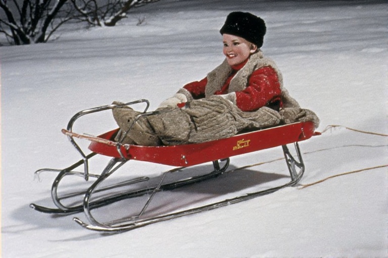 The Ultimate Guide to the Flexible Flyer Sled Model No 251H: A Timeless Winter Classic