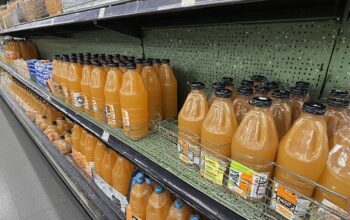 The Ultimate Guide to Finding 1 Gallon No Calcium Orange Juice Sale Pick Up Deals